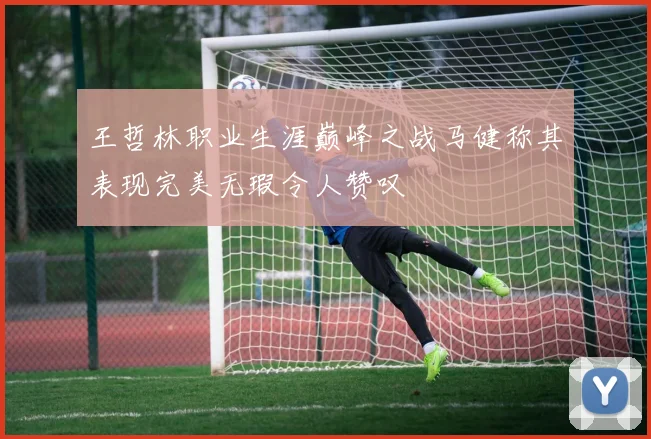 王哲林职业生涯巅峰之战马健称其表现完美无瑕令人赞叹